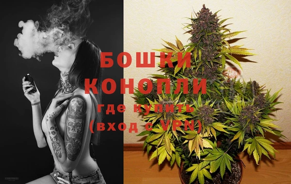 амф Михайловск