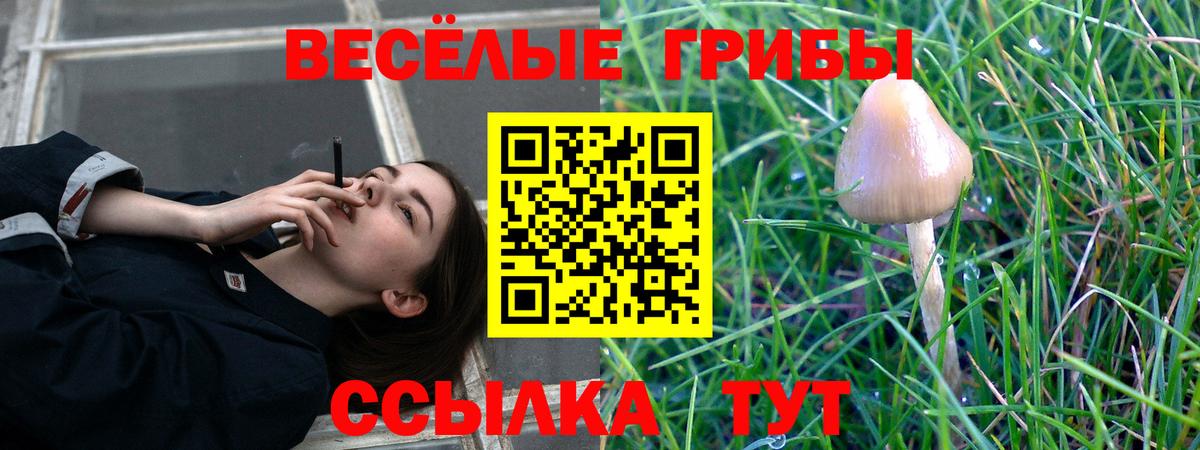 Галлюциногенные грибы Magic Shrooms Нововоронеж