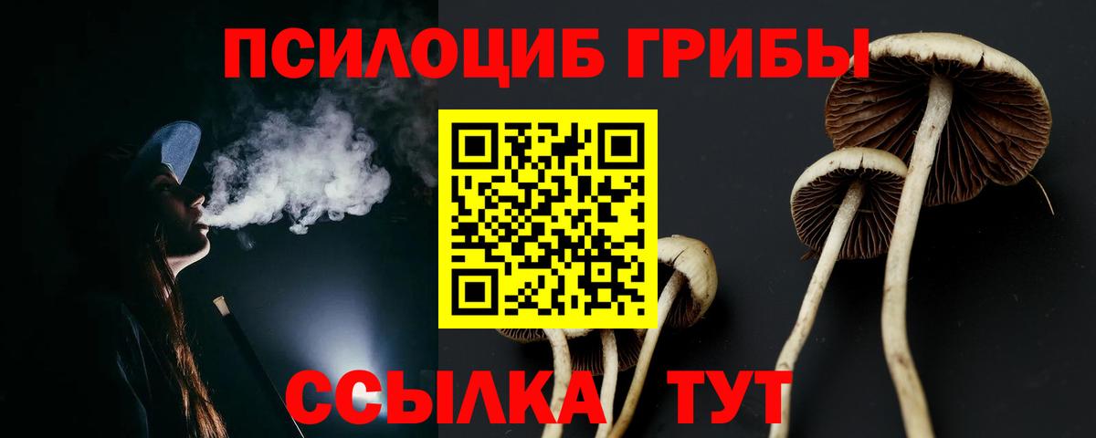 Нововоронеж  Псилоцибиновые грибы MAGIC MUSHROOMS  Вход с VPN  даркнет сайт  Псилоцибиновые грибы Cubensis 