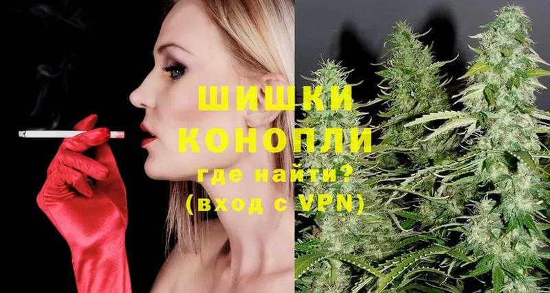 как найти закладки  Нововоронеж  Марихуана SATIVA & INDICA 